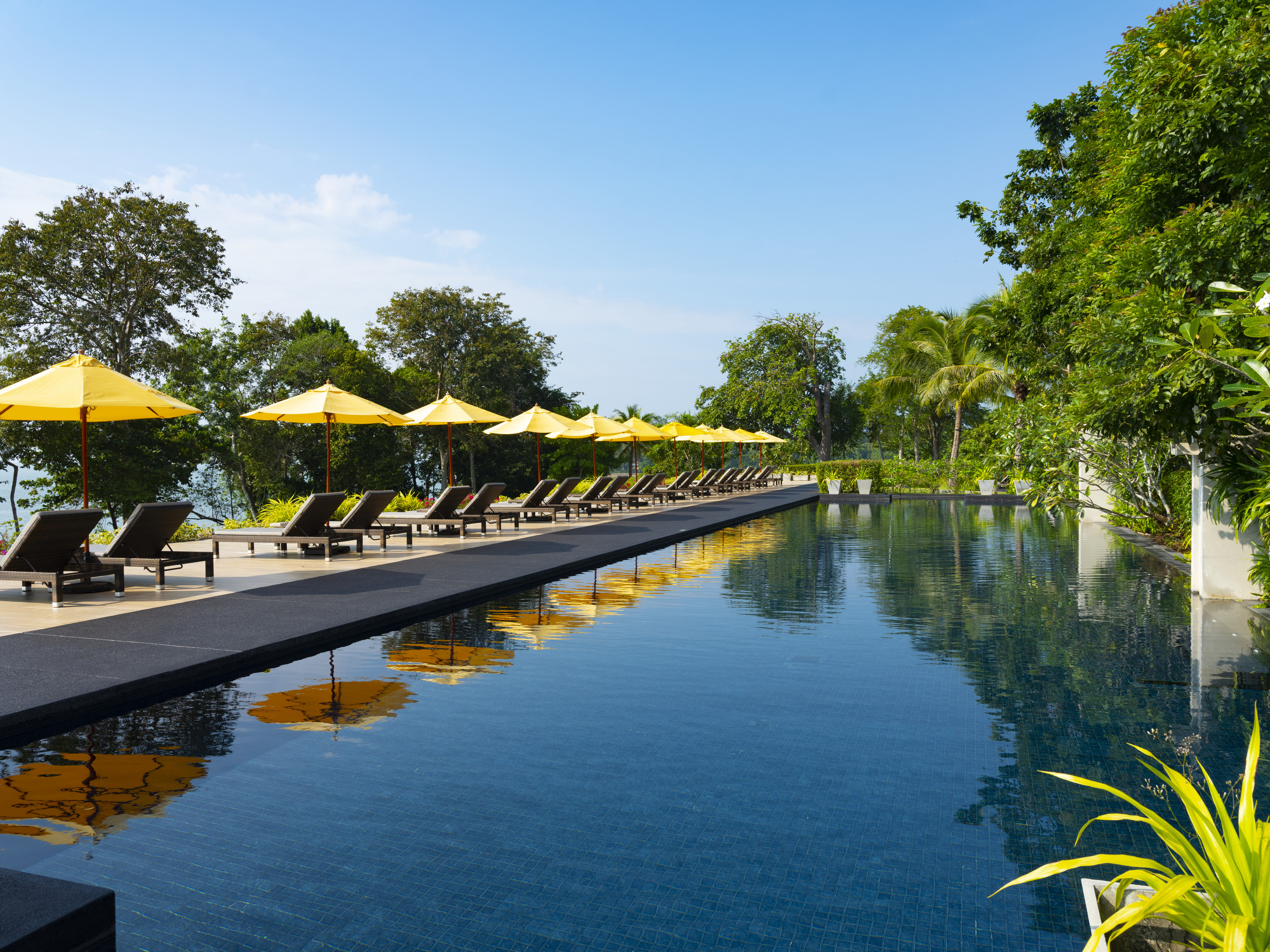 เดอะ เซลล์ซี กระบี่