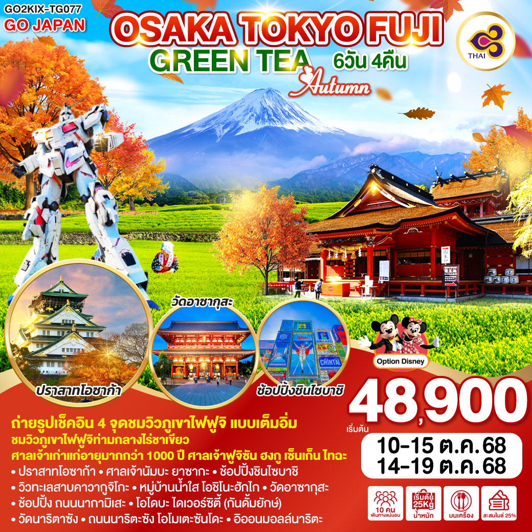 ทัวร์ญี่ปุ่น OSAKA TOKYO FUJI GREEN TEA AUTUMN 6วัน 4คืน TG