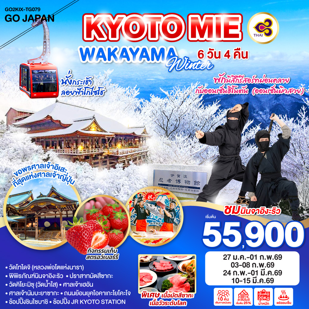 ทัวร์ญี่ปุ่น KYOTO MIE WAKAYAMA WINTER 6วัน 4คืน TG