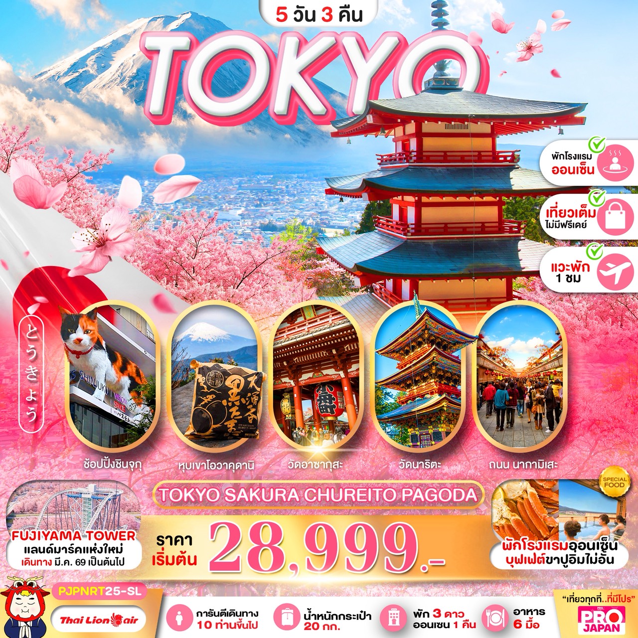 ทัวร์ญี่ปุ่น TOKYO SAKURA CHUREITO PAGODA FULLDAY 5วัน 3คืน SL