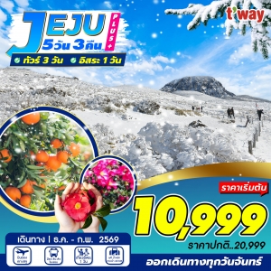 ทัวร์เกาหลี เชจูพลัส วินเทอร์ อิสระ 1 วัน 5วัน 3คืน 7C