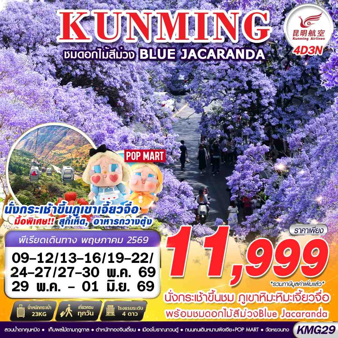 ทัวร์จีน KUNMING ภูเขาหิมะเจี้ยวจื่อ ดอกไม้สีม่วง Blue Jacaranda 4วัน 3คืน KY