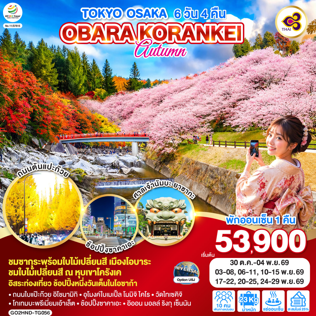 ทัวร์ญี่ปุ่น TOKYO OSAKA OBARA KORANKEI AUTUMN 6วัน 4คืน TG