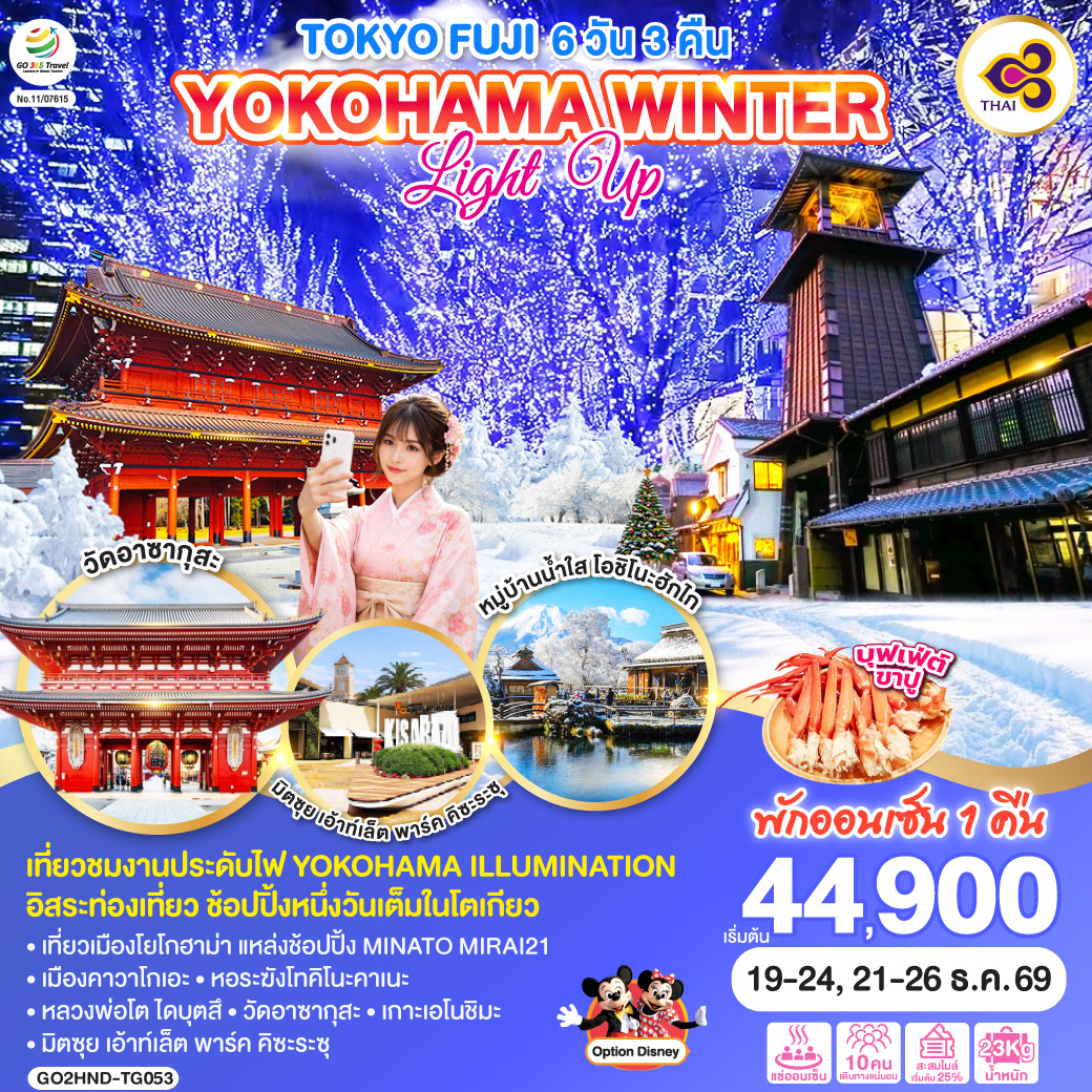 ทัวร์ญี่ปุ่น TOKYO FUJI YOKOHAMA WINTER LIGHT UP 6วัน 3คืน TG