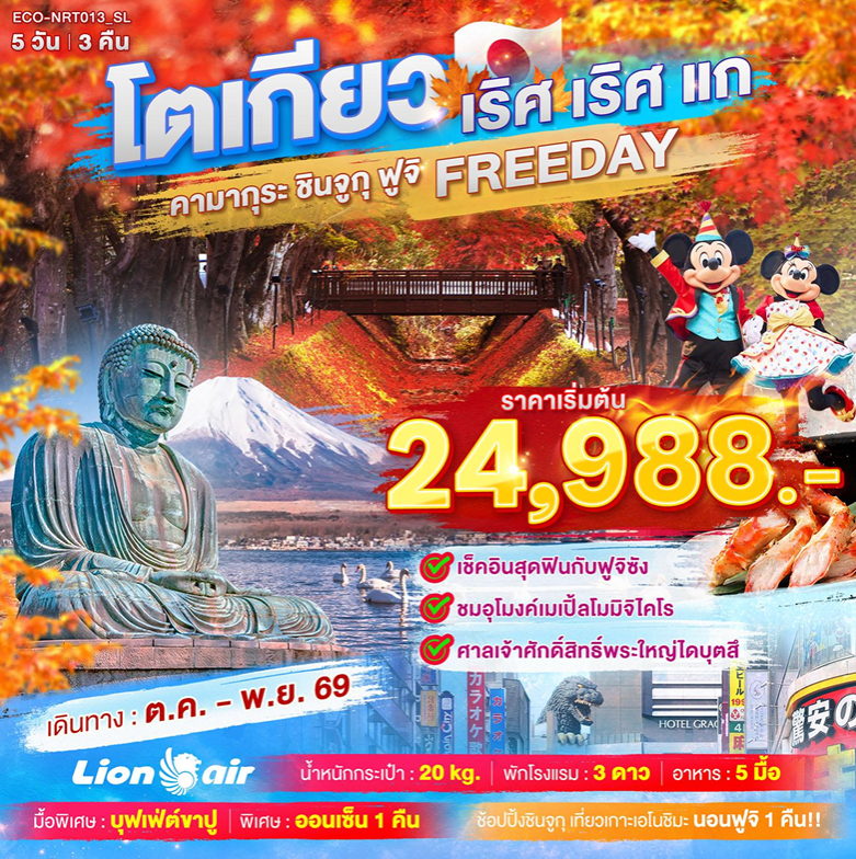 ทัวร์ญี่ปุ่น TOKYO เริศ เริศแก คามากุระ ชินจูกุ ฟูจิ FREEDAY  5วัน 3คืน SL