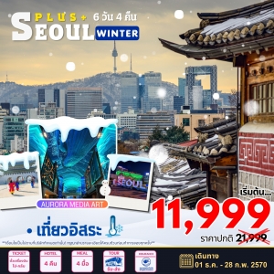 ทัวร์เกาหลี Seoul Plus 6D4N Winter โซลพลัส อิสระ 6วัน 4คืน 7C/BX/TW/LJ