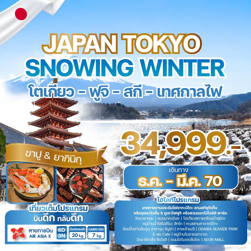 ทัวร์ญี่ปุ่น JAPAN TOKYO SNOWING WINTER โตเกียว - ฟูจิ - สกี - เทศกาลไฟ 6วัน 3คืน XJ